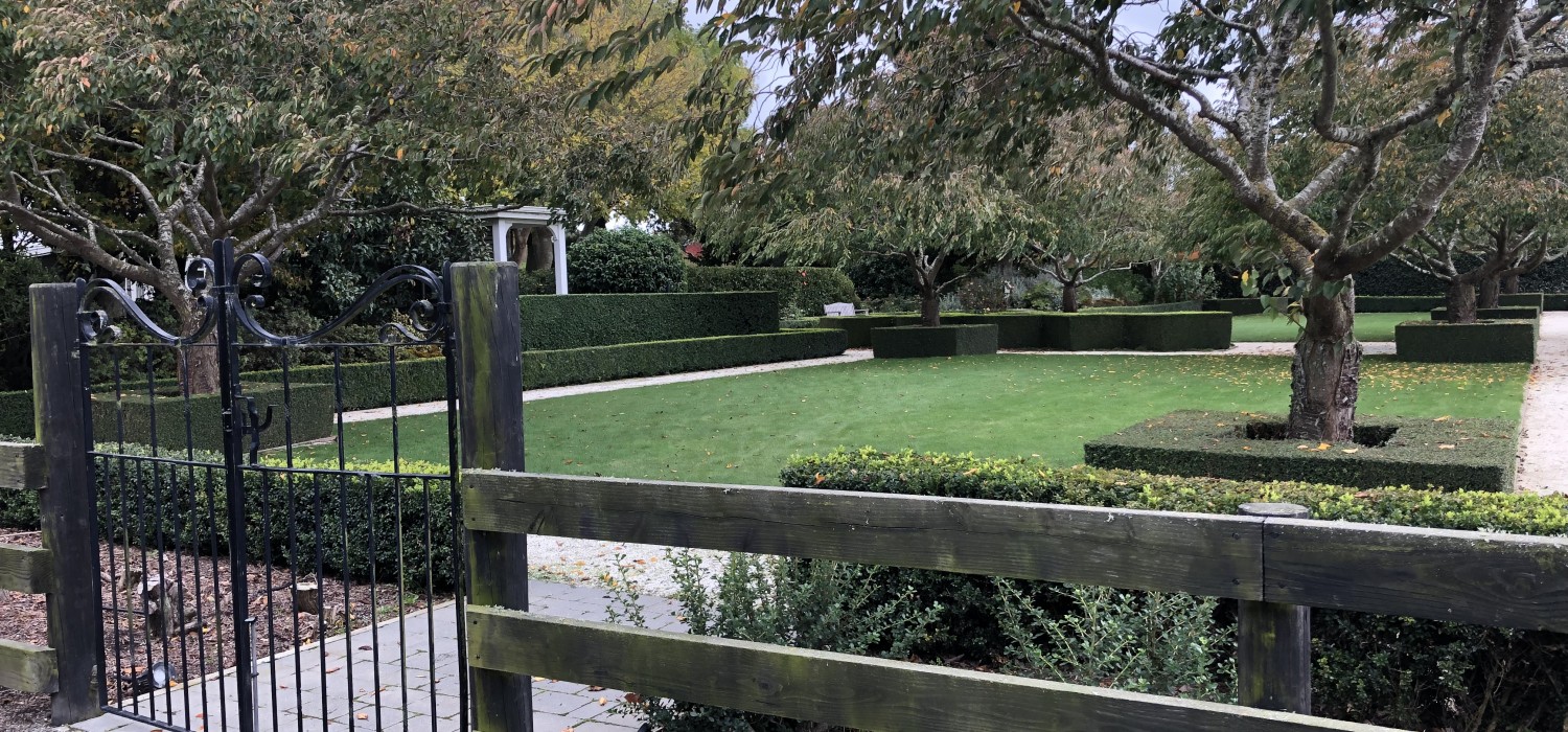 Dancing on Moonlight 